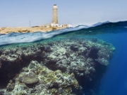 Dive brothers islands Red Sea