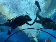 DEEPSPOT 10