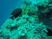 IMG-20211129-WA0011