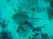 IMG-20211129-WA0012