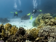 IMG_4796