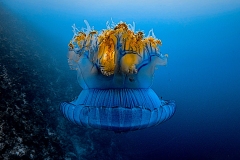 67W0303-copy.jpg
