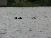 IMG-9944