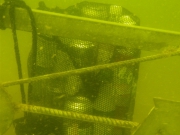 P5280006