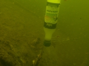 P5280019