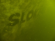 P5280044