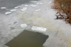 Vecgada ieniršana 2018