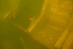 Vecpuišu ballīte zem ūdens