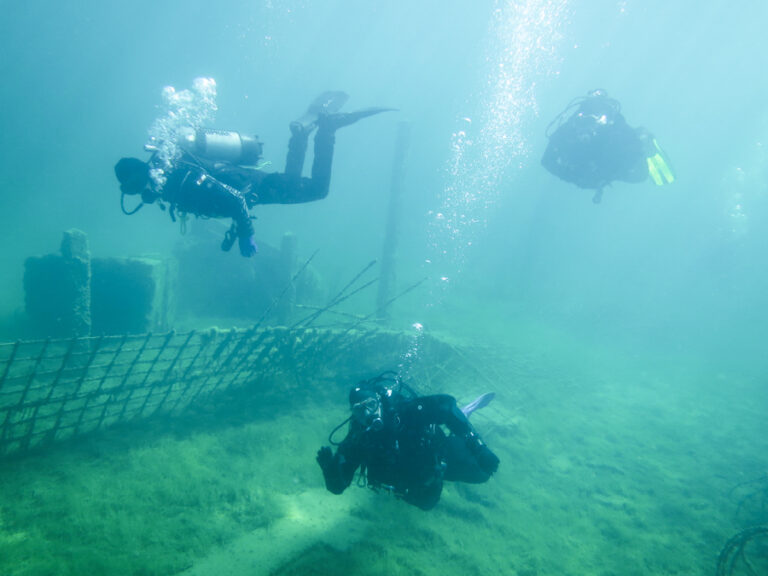 Niršana Rummu karjerā Igaunijā - Coral Latvija